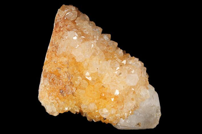 Sunshine Cactus Quartz Crystal - South Africa #122305